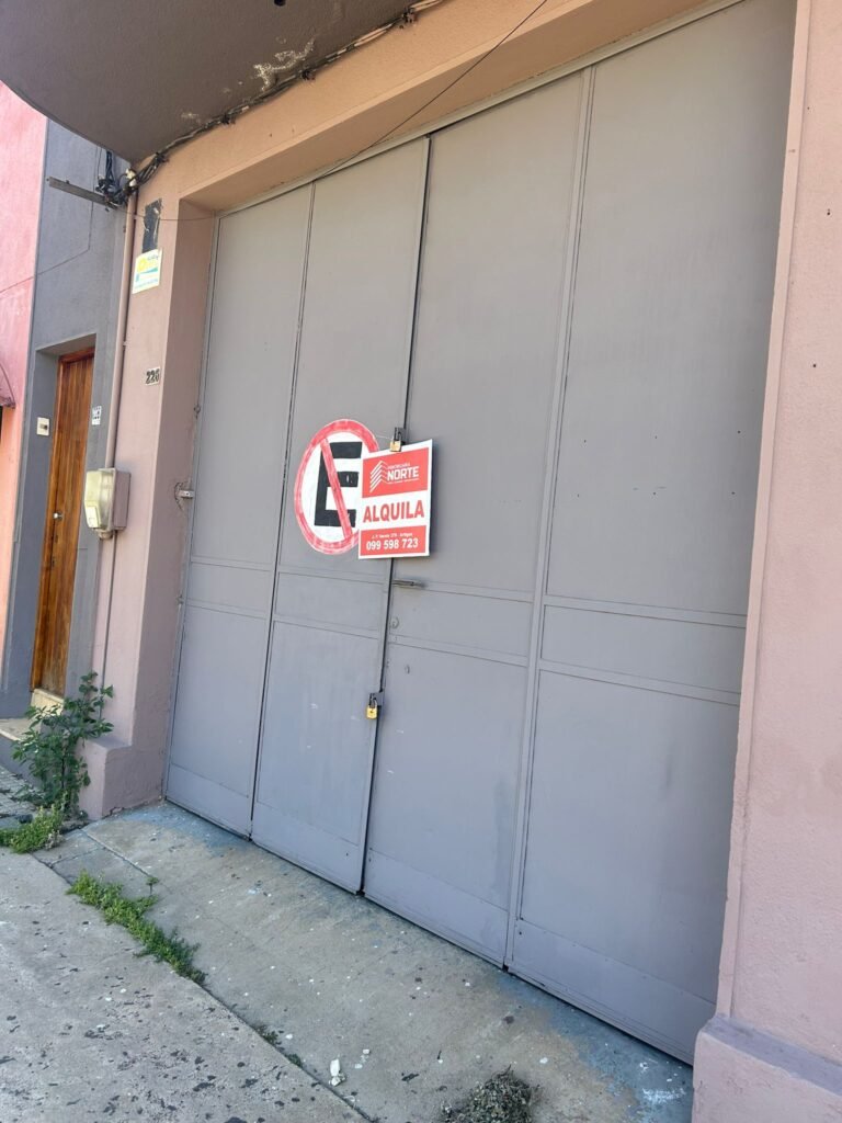 GALPÓN EN VENTA – ZONA CÉNTRICA