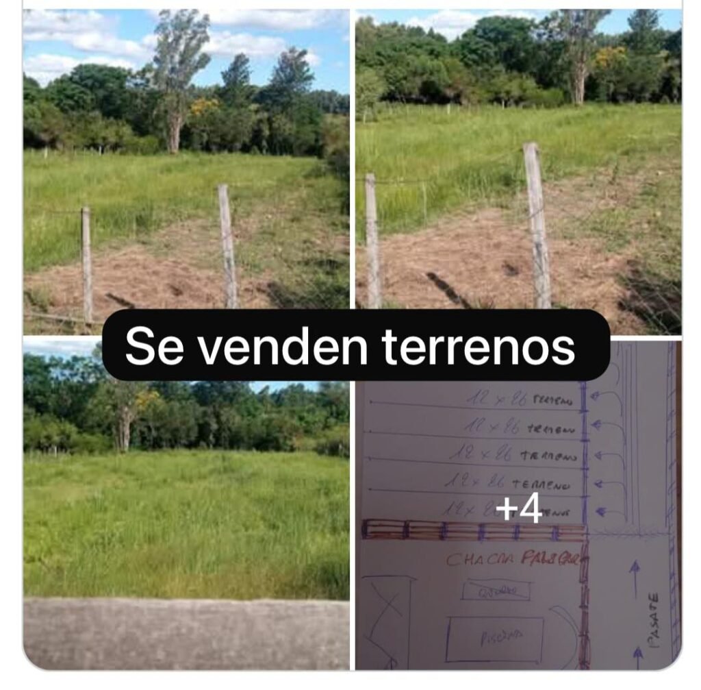 Terrenos en Zona Guayubira – Venta