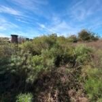 Terrenos en Andrés Cheveste – Venta