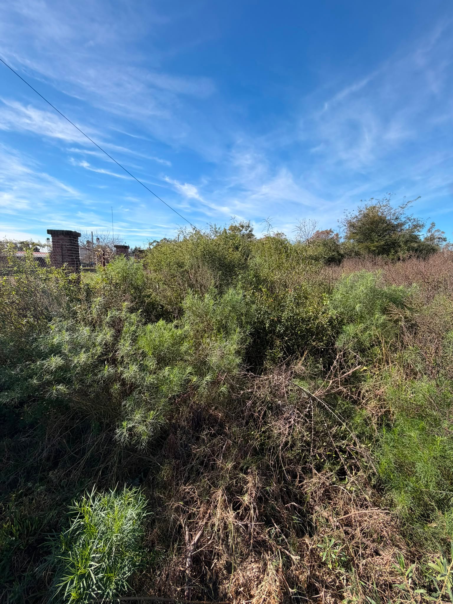 Terrenos en Andrés Cheveste – Venta