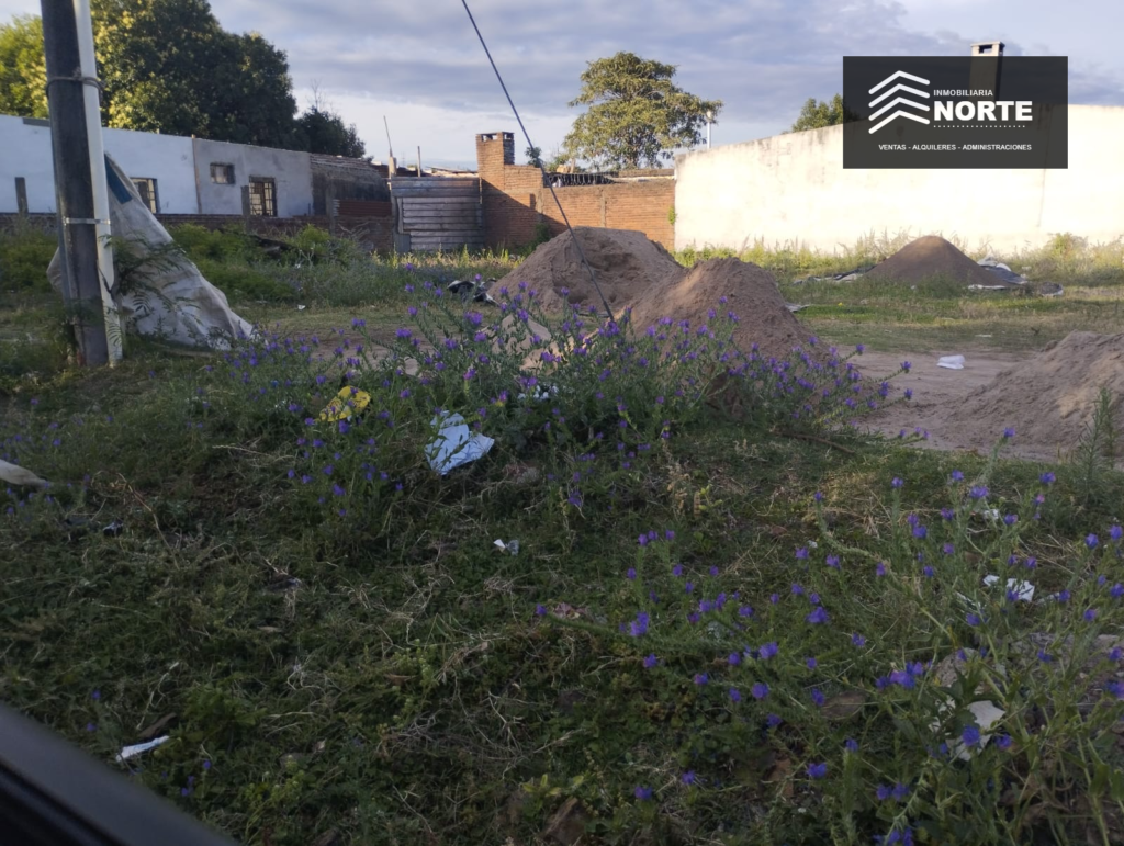 Terrenos en Hector Vasconcellos – Venta